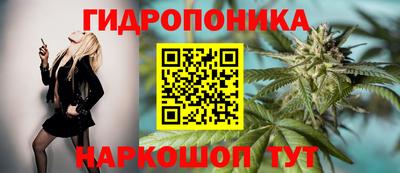 мдпв Краснознаменск