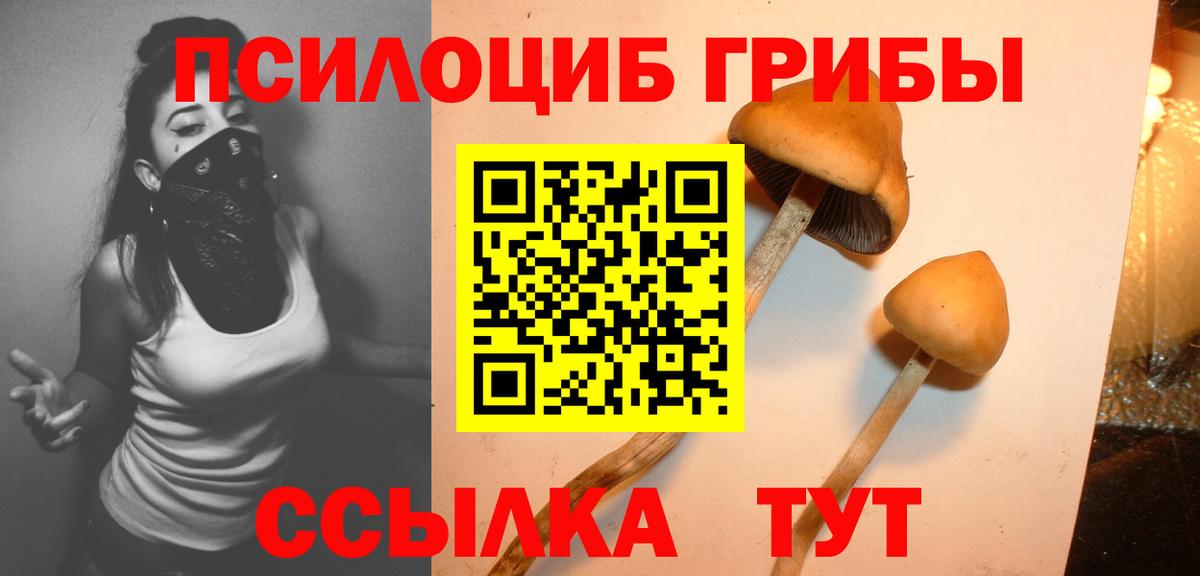 Галлюциногенные грибы Magic Shrooms Дедовск