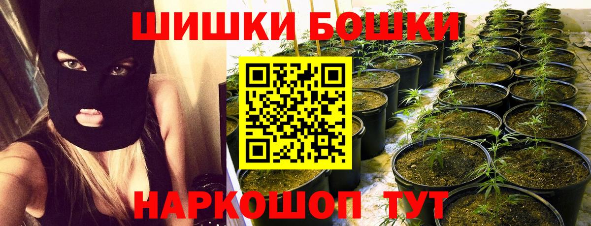 Марихуана SATIVA & INDICA Дедовск